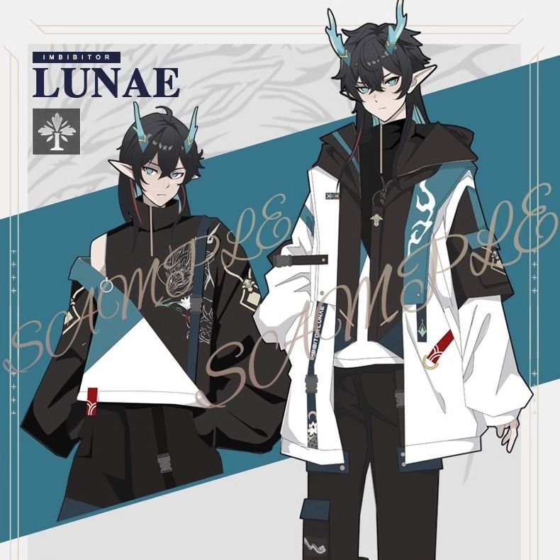 Anime Dan Heng Imbibitor Lunae - Streetwear Hoodie recensie en prijs
